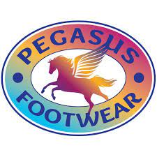 Pegasus Footwear (Rhinebeck)