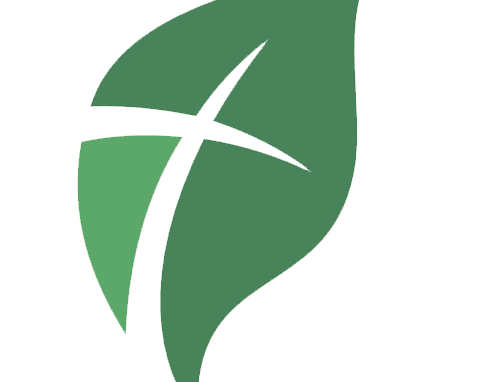 New Beginning Christian & Missionary Alliance Church